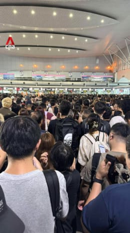 Long queues form after autogate services at Malaysia’s checkpoints interrupted