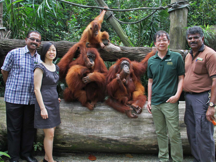 Gallery: Mr Lee Kuan Yew wanted a zoo as successful as Singapore