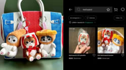 Related article image