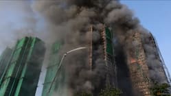 Related article image