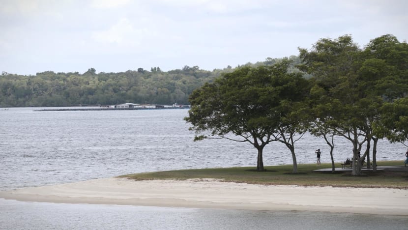 S$23.5m research programme launched to look at long-term impact of climate change on S'pore