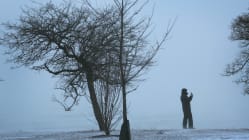 Related article image