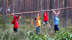 Related article image