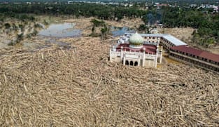 Indonesia to revoke 22 forestry permits after deadly floods