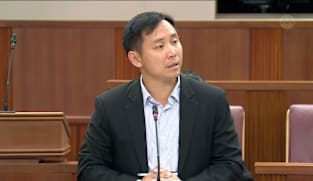 Goh Pei Ming on investigations into alleged trafficking of Indonesian babies 