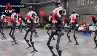 Tech company, Unitree’s planned IPO among the most closely watched 