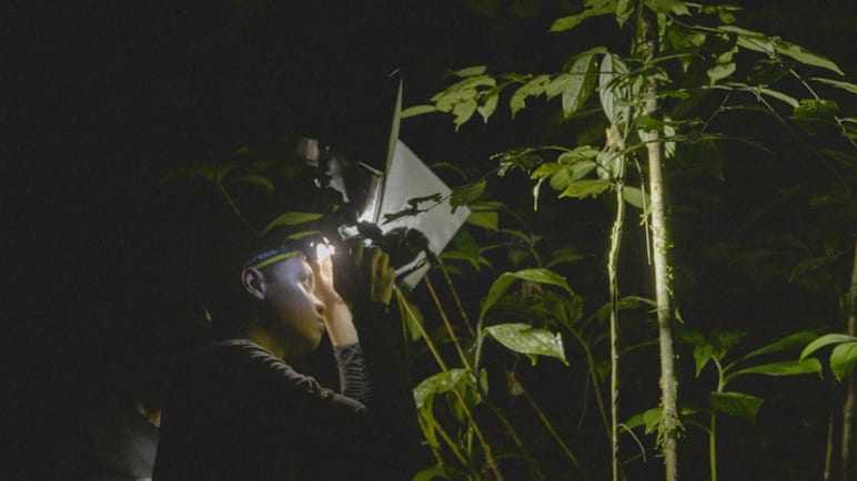 I Am Canlaken - Come With Me Into The Wild