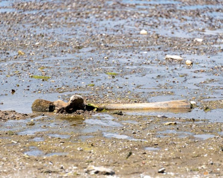 Mammoth remains revealed in Bulgaria after Danube water levels hit record low