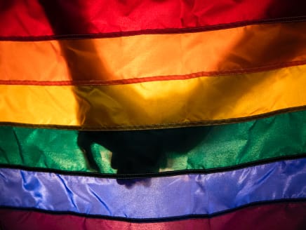 NDR 2022: Repeal of Section 377A a relief but move to protect marriage definition is 'disappointing', say LGBTQ groups