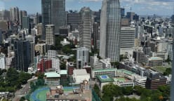 Five staff members reported injured by intruders at Tokyo primary school: Reports