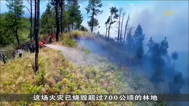 联合国料2027年底 全球至少4900万人再陷粮食短缺
