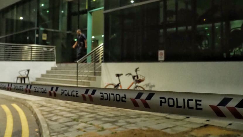 Sungei Kadut murder: 22-year-old man charged