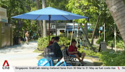 Singapore climate report 2025: Wettest March; hottest June and November ever on record 