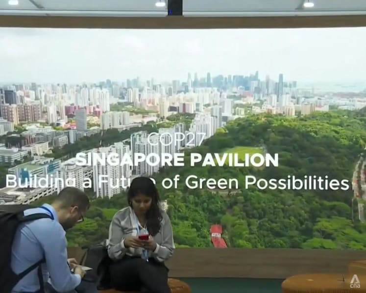 Commentary: How I got from beach clean-ups at Pasir Ris to speaking at COP27 climate summit
