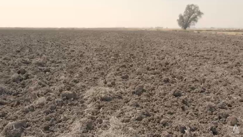 Knock-on effect of California’s drought dries up businesses in agriculture, transport, even retail Knock-on effect of California’s drought dries up businesses in agriculture, transport, even retail