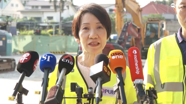 傅海燕：环境部成立内部调查小组
