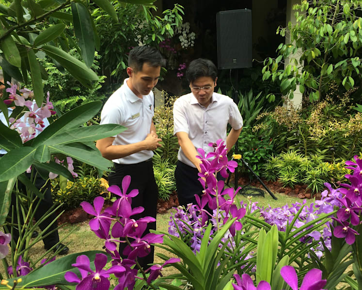 Gardens celebrating SG50 with rare orchid showcases