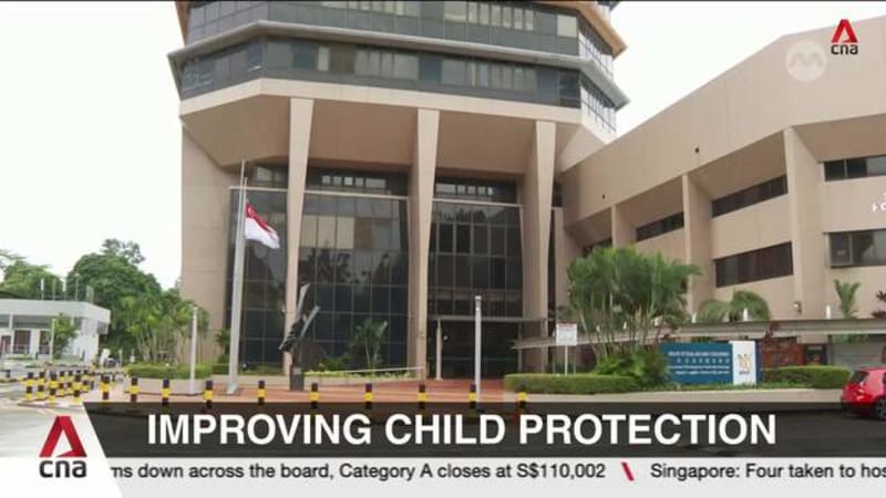 Police officers in Megan Khung case were "under pressure", leading to breach: MHA