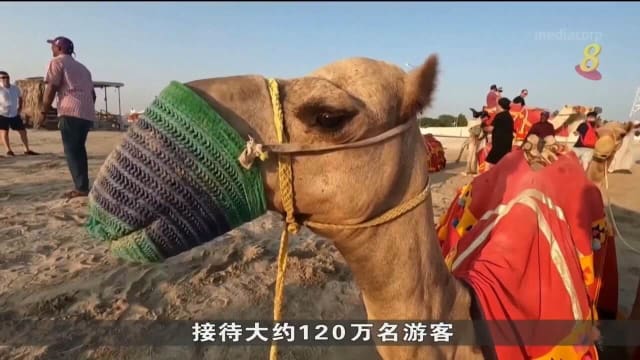 世界杯掀旅游效应 卡塔尔誓让球迷宾至如归