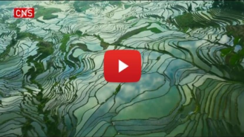 Hani Terraced Fields: A Paradise Harboring Ingenious Technology Hani Terraced Fields: A Paradise Harboring Ingenious Technology