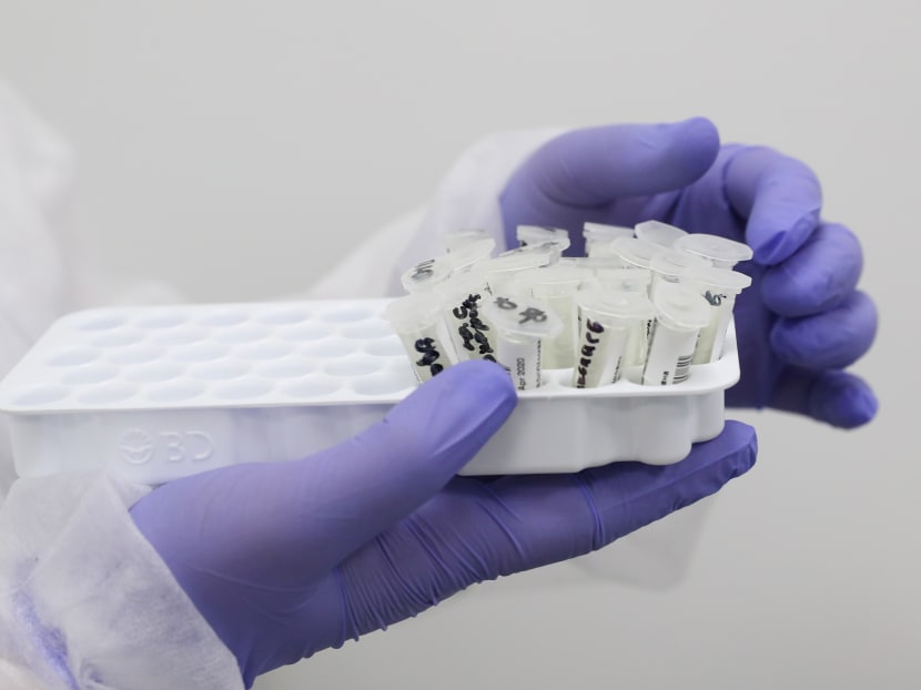 A health worker wearing protective gloves holds samples taken for testing for Covid-19 at a laboratory.