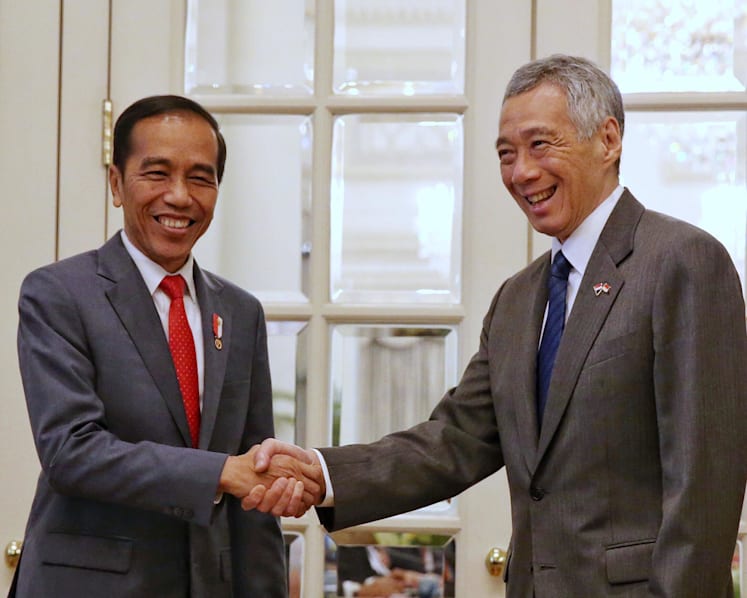 Singapore and Indonesia reaffirm 'excellent' ties, pledge to deepen cooperation