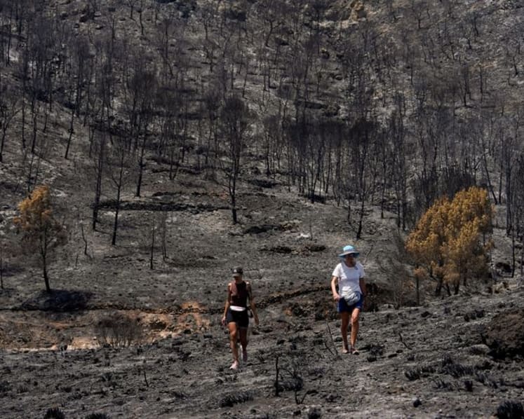 Five Britons among foreign Spanish wildfire victims