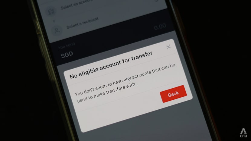 DBS digital services restored after some customers hit by lunchtime disruption