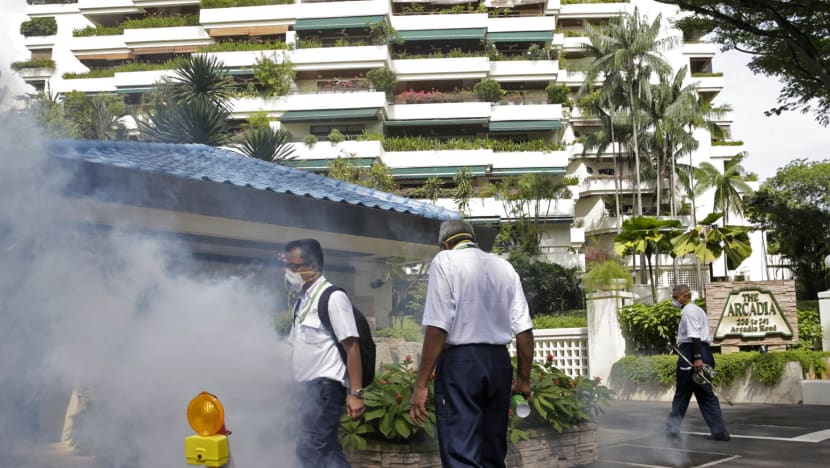 30 mosquito-breeding spots destroyed in Watten Estate area