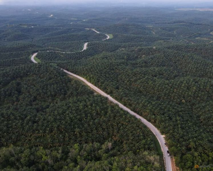 Indonesia takes another step towards B50 biodiesel