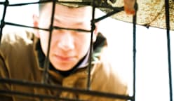 Insight 2025/2026 - Imperium Penipuan Asia Tenggara