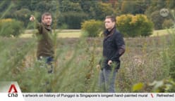 Denmark's afforestation plans underway amid EU's push to keep climate targets on track