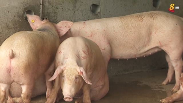 晨光|晨光聚焦：各方严格把关 保障我国食品安全
