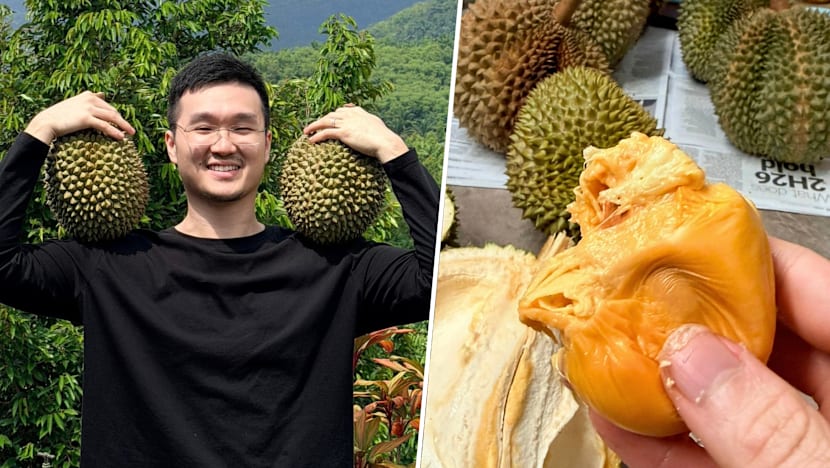 LSE Law Grad, 30, Gave Up Legal Career To Become Organic Durian Farmer In Pahang