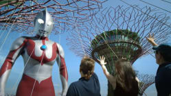 Related article image