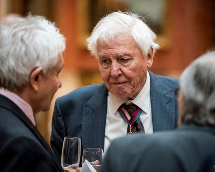 David Attenborough, 'the voice for nature,' turns 100