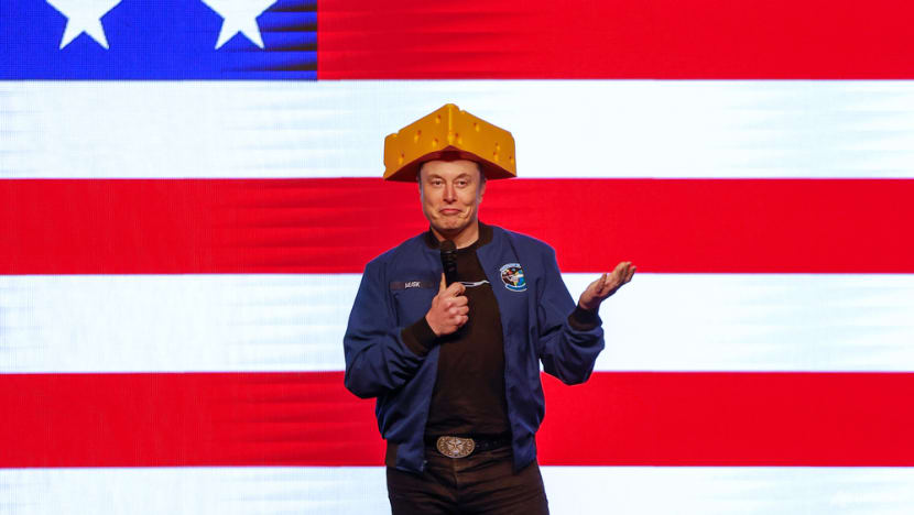 Musk will stay until he completes DOGE mission, White House says Musk will stay until he completes DOGE mission, White House says