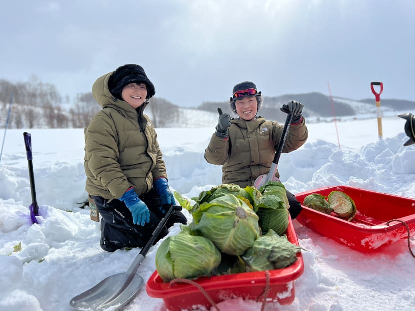 Escape the tourist crowd and discover the beauty of Furano in Hokkaido