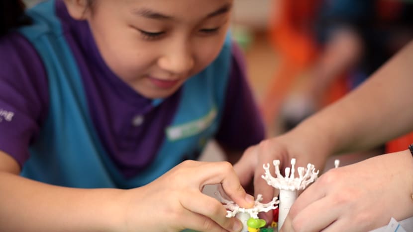 All MOE students, teachers to get SG50 LEGO sets