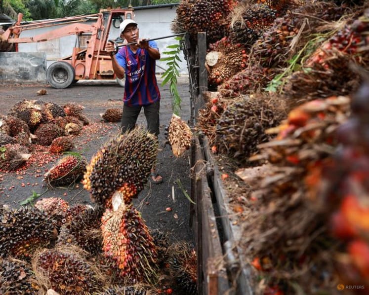Malaysia fertiliser producers halt new orders as Iran war drives up prices