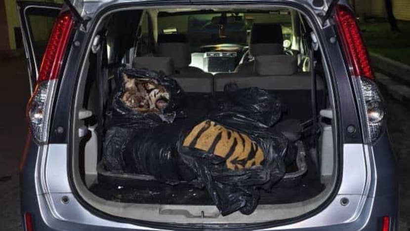 Tiger carcass in car boot sparks outrage in Malaysia