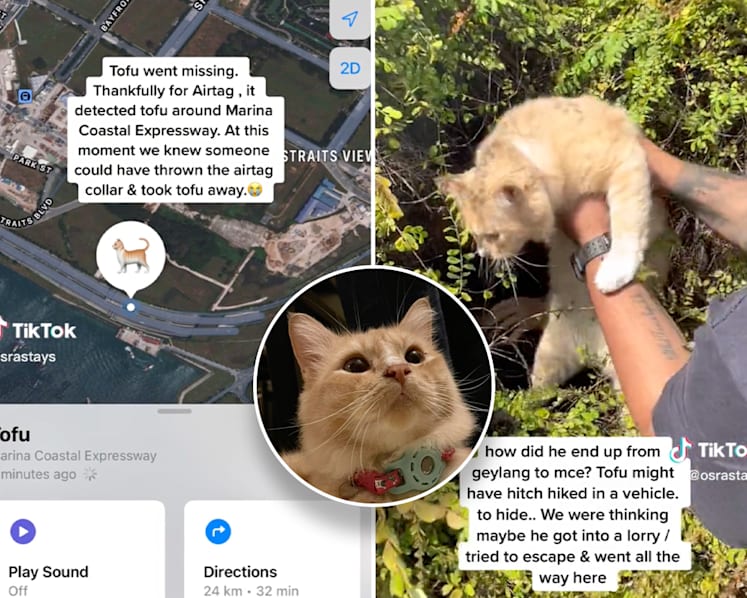 #trending: Apple AirTag helps Singapore family find missing pet cat in bushes along MCE