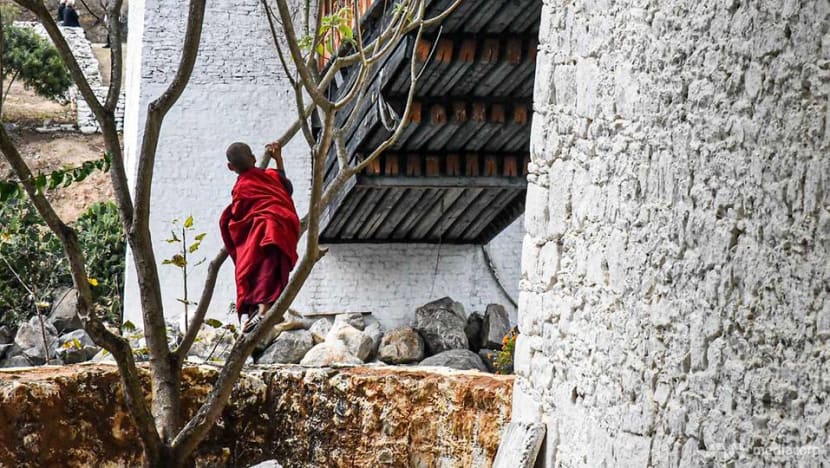 Climate change like a cancer that needs urgent treatment, says Bhutan’s PM