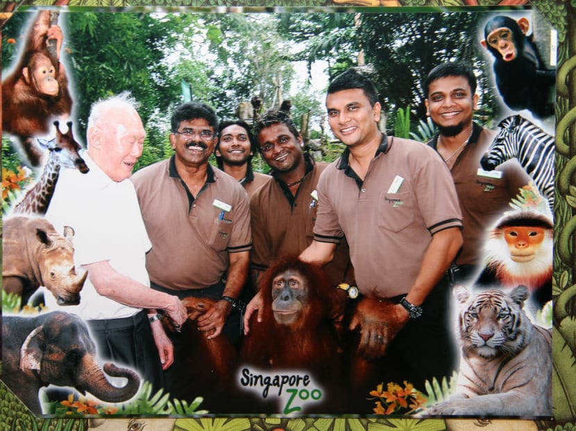 Gallery: Mr Lee Kuan Yew wanted a zoo as successful as Singapore