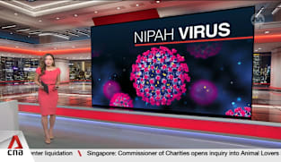 Singapore's Changi Airport to screen travellers from affected areas amid Nipah outbreak in India