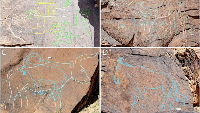 Ancient Arabian desert rock art showing camels marked water sources