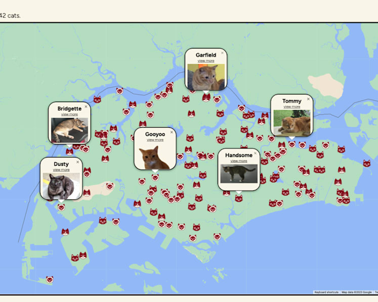 #trending: Redditor’s map of community cats in Singapore raises question on whether it is helpful or could be misused by abusers