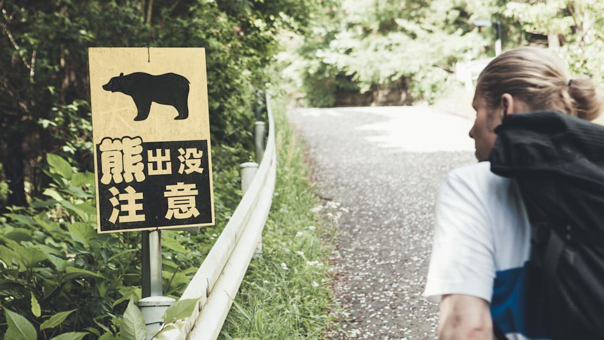 Bear kills another person in Japan in record year for fatal attacks