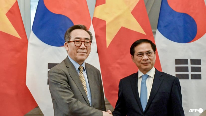 South Korea, Vietnam pledge cooperation as US tariffs loom South Korea, Vietnam pledge cooperation as US tariffs loom