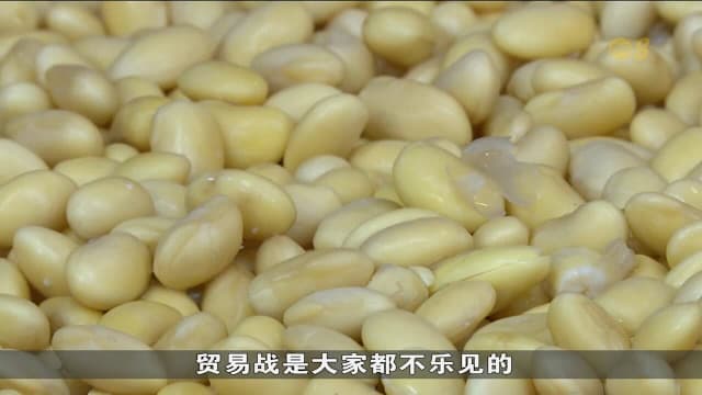 中国国营企业购入美国大豆 中美贸易紧张局势有望降温